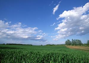 静岡県焼津市の家族葬専門斎場【家族葬のタクセル東小川】の詳細情報と特徴
