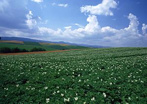 静岡市で選ばれる家族葬・小規模葬儀の専門会場｜富士葬祭 中村町の安心プランと特徴