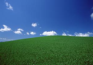 静岡県富士宮市の安心葬儀サービス｜富士葬祭の特徴と店舗案内