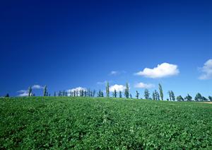 富士葬祭菊川:静岡県菊川市堀之内の信頼できる葬儀サービスと充実の施設紹介