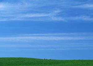 静岡県浜松市の家族葬専門斎場｜家族葬のタクセル領家の特徴と利用のメリット