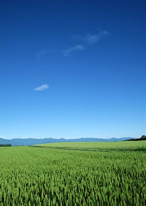 静岡市葵区にある安心の家族葬・一日葬に対応した富士葬祭 瀬名の葬儀サービスと施設案内