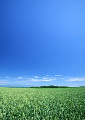 静岡県藤枝市に新たに誕生した家族葬専用斎場「家族葬のタクセル岡出山」|最新設備と低価格を実現した安心の葬儀サービス
