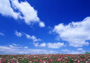 静岡の安心・信頼の葬儀サービス｜富士葬祭静岡の特徴と店舗情報