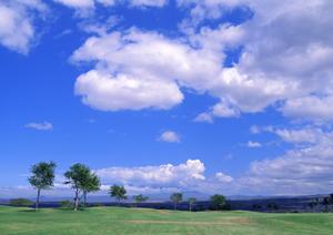 静岡市における信頼の葬儀サービス【富士葬祭 材木町】の特徴とアクセス情報