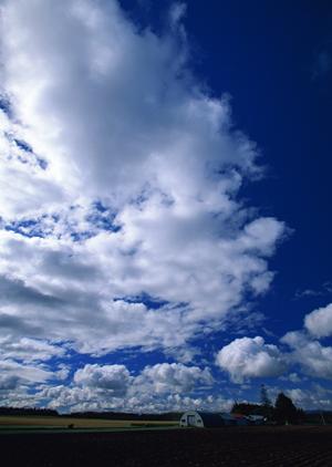 浜松市中央区高林の安心葬祭を提供する富士葬祭 高林 – 家族葬から一般葬まで幅広く対応