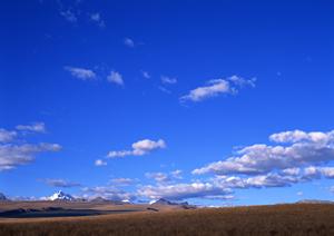 403 Forbiddenエラーページの解説と対処法｜原因と解決策を詳しく解説