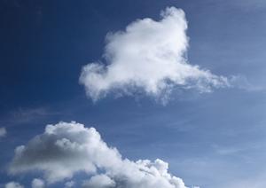 静岡県内の家族葬・火葬を低価格で叶える【家族葬のタクセル】|葬儀場・斎場一覧と費用ガイド