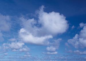 静岡市における低価格の家族葬サービス|家族葬のタクセルの特徴と店舗情報