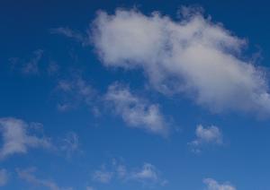 【静岡県版】家族葬・火葬・葬儀場の費用と選び方｜家族葬のタクセル