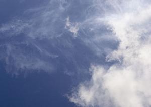 越谷市のご家族や一般の方に最適な葬儀場【ティア越谷】の特徴と詳細情報